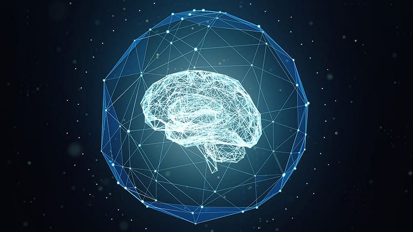 Generalist Neural Algorithmic Learner